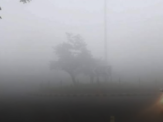 पंजाब में घना कोहरा, 18 जिलों में यलो अलर्ट जारी